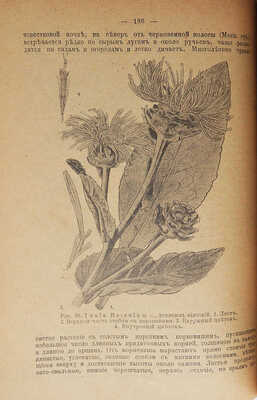 Рытов М.В. Русские лекарственные растения. Народные названия. ... [В 2 т.]. Т. 1-2. Пг., [1918].